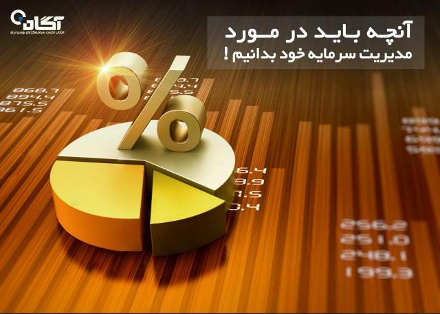 استراتژی‌های متنوع‌سازی سرمایه: کلید دستیابی به سود پایدار