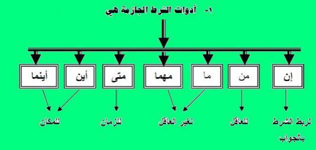 شرط تکی
