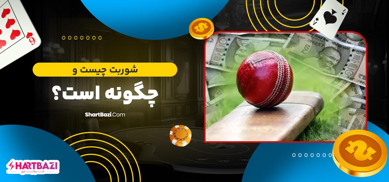نقش​ شوربت در ایجاد تعادل و آرامش ذهنی